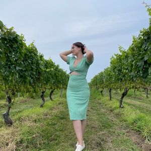 Zara Green Gingham Cutout Midi Dress